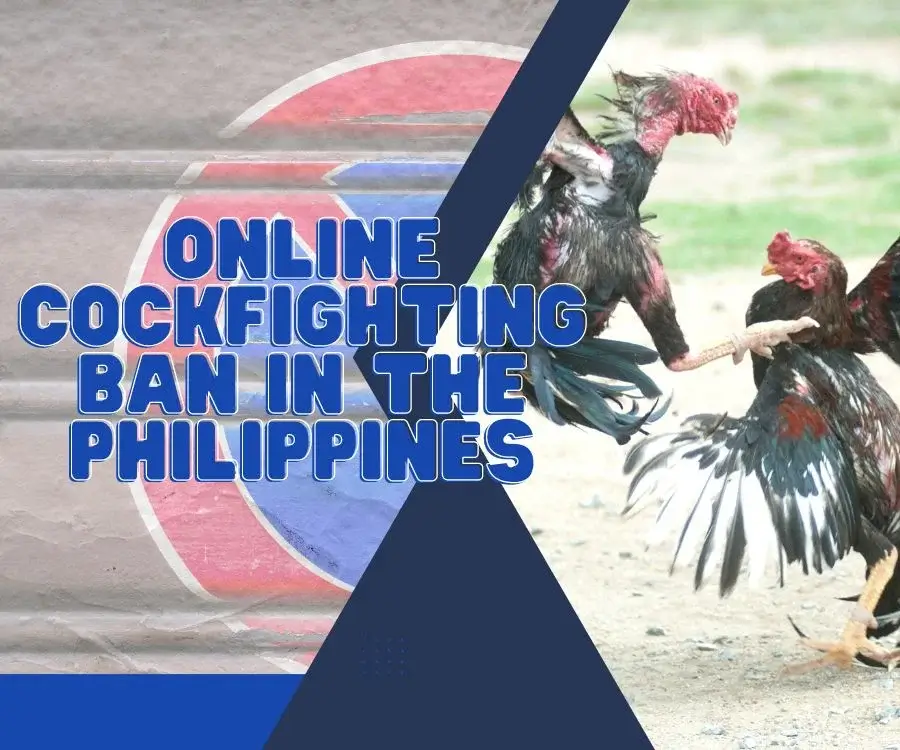 The Online Cockfighting Ban in the Philippines